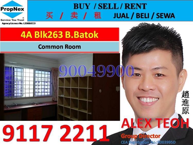 Blk 263 Bukit Batok East Avenue 4 (Bukit Batok), HDB 4 Rooms #124380252
